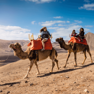 Agadir Camel Riding