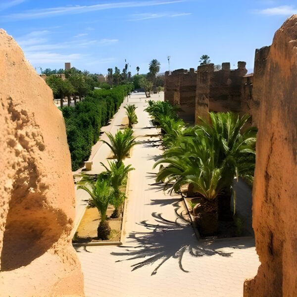 Taroudant-day-trip